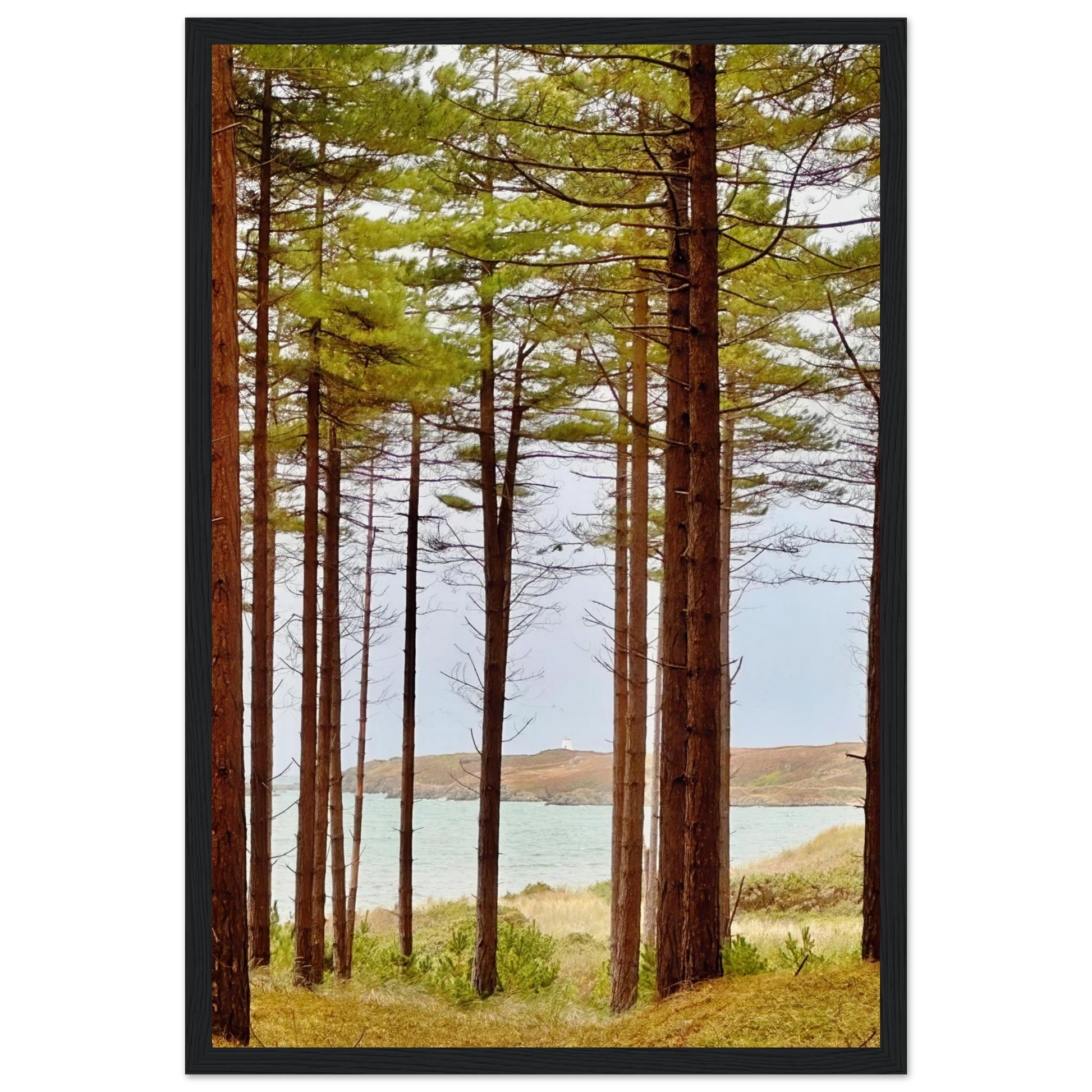 f566a633-26e2-444e-822a-02faa7cda591