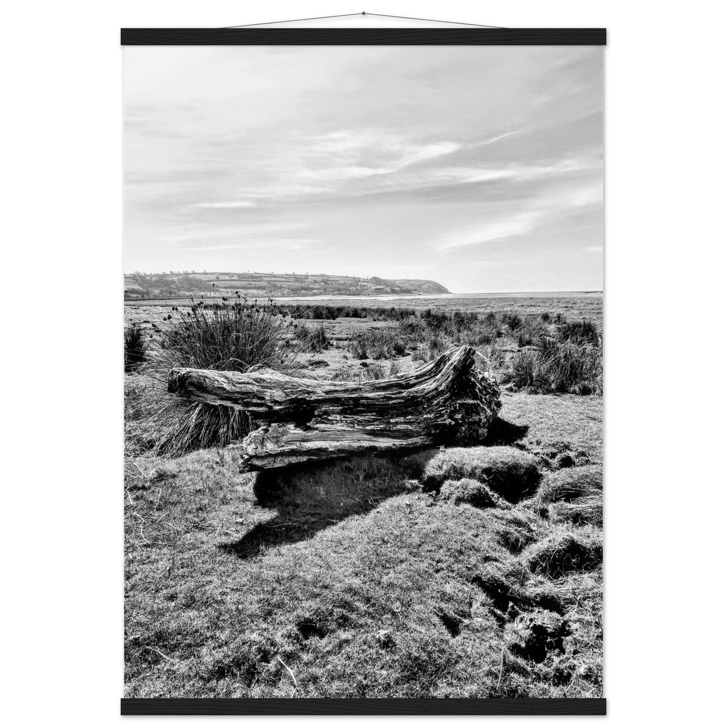 f76d6b79-05b5-4099-871d-c857a5339d1d