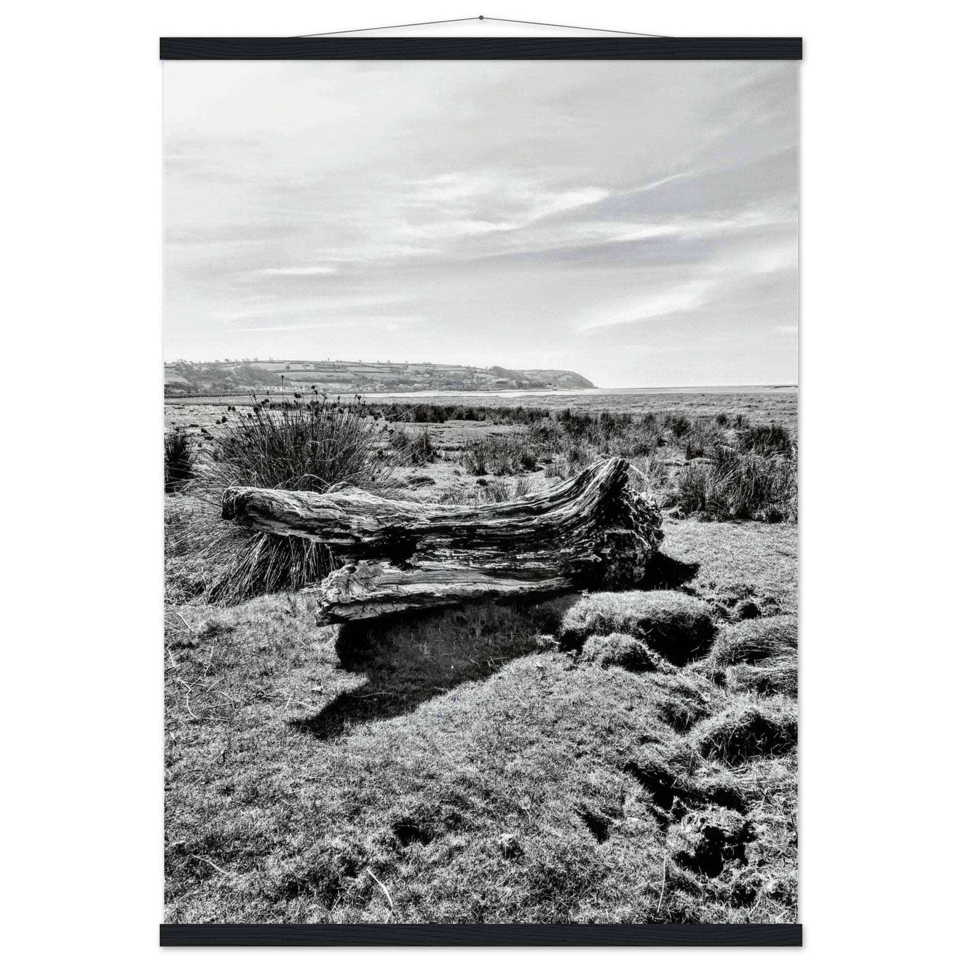 f76d6b79-05b5-4099-871d-c857a5339d1d