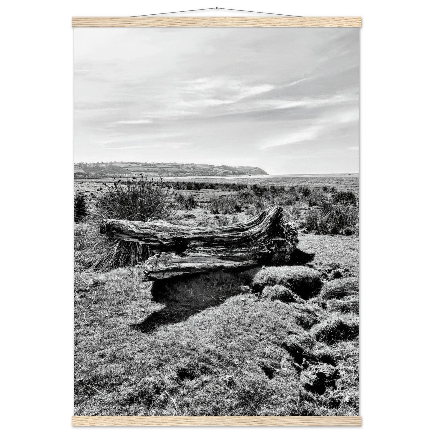 f856474a-822a-4575-8df9-dfbd15e6e272