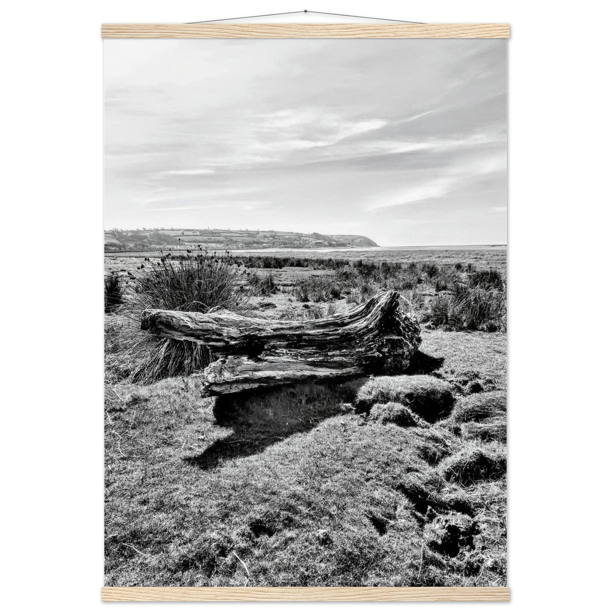 f856474a-822a-4575-8df9-dfbd15e6e272