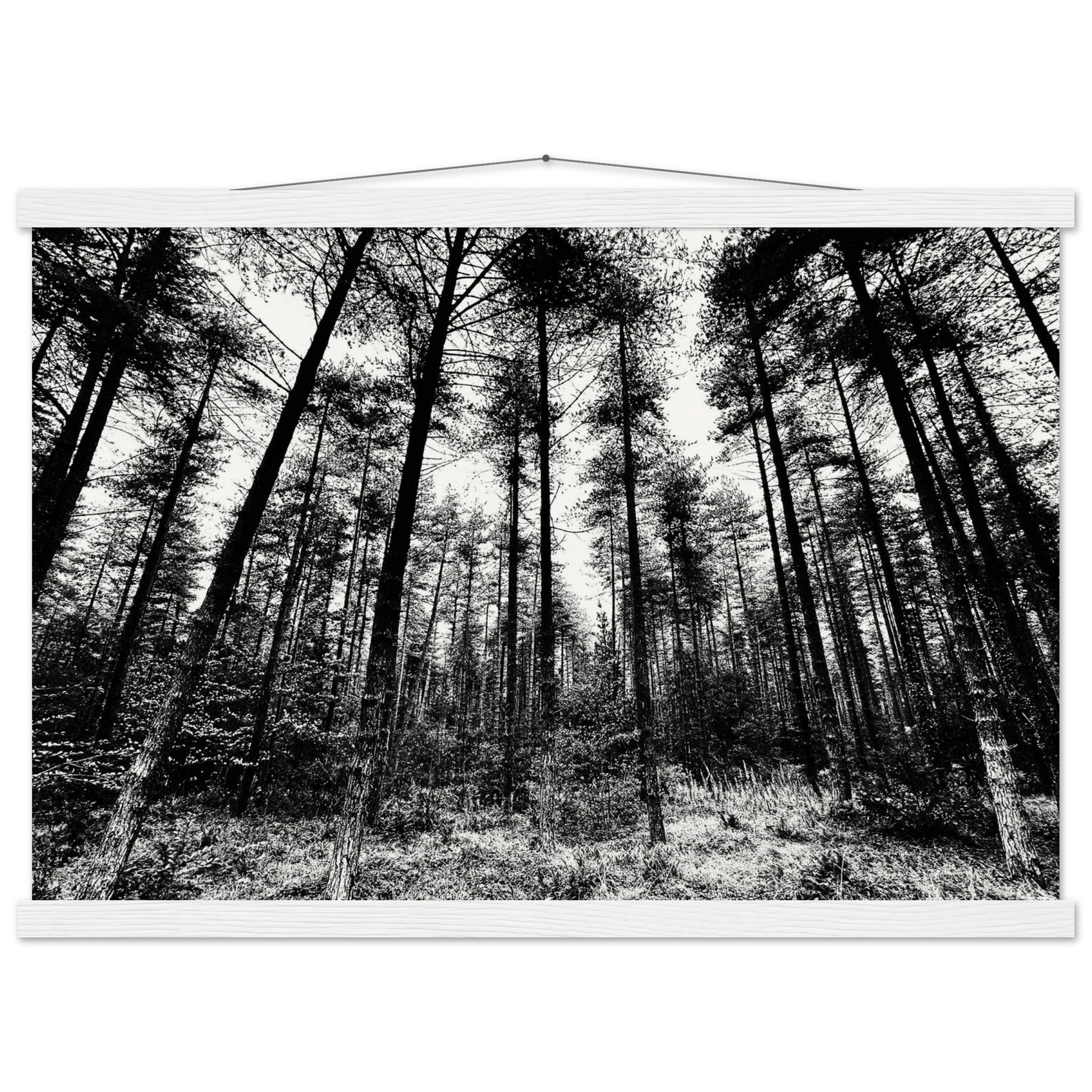 fbeb5f9c-7978-4e5b-bc72-5190843b5c6d