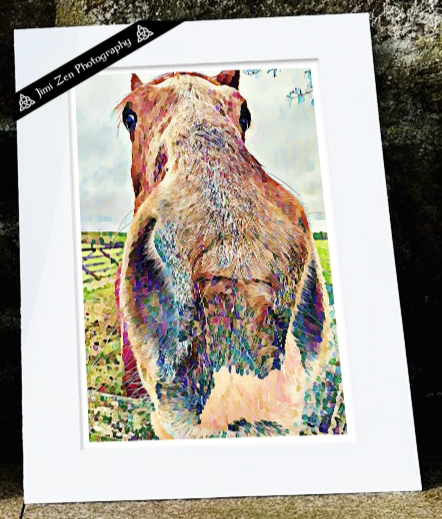 Nosey Horse
