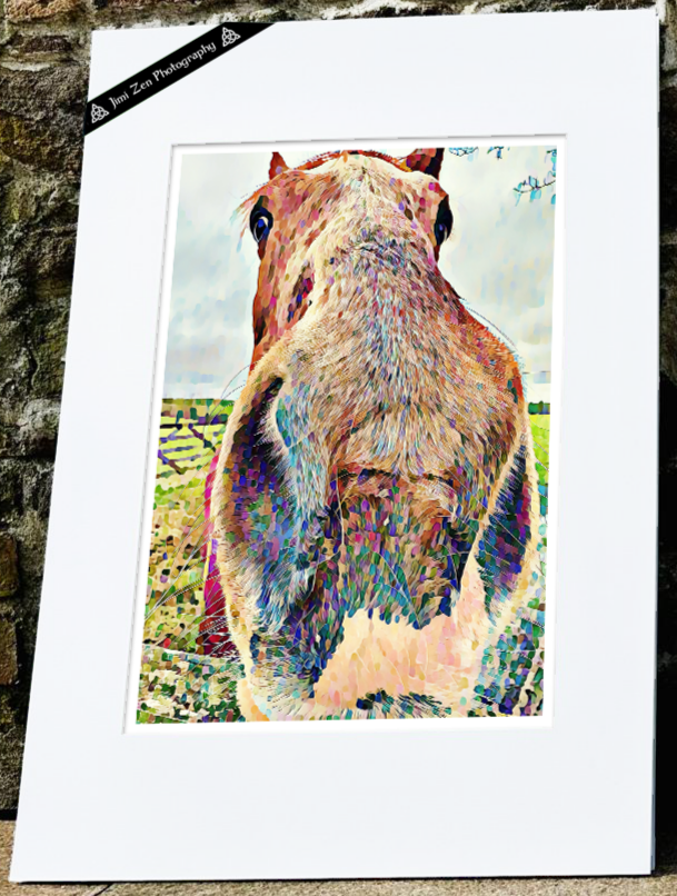 Nosey Horse