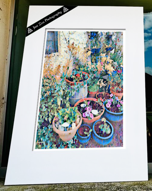 Outside Garden