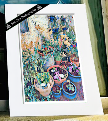 Outside Garden