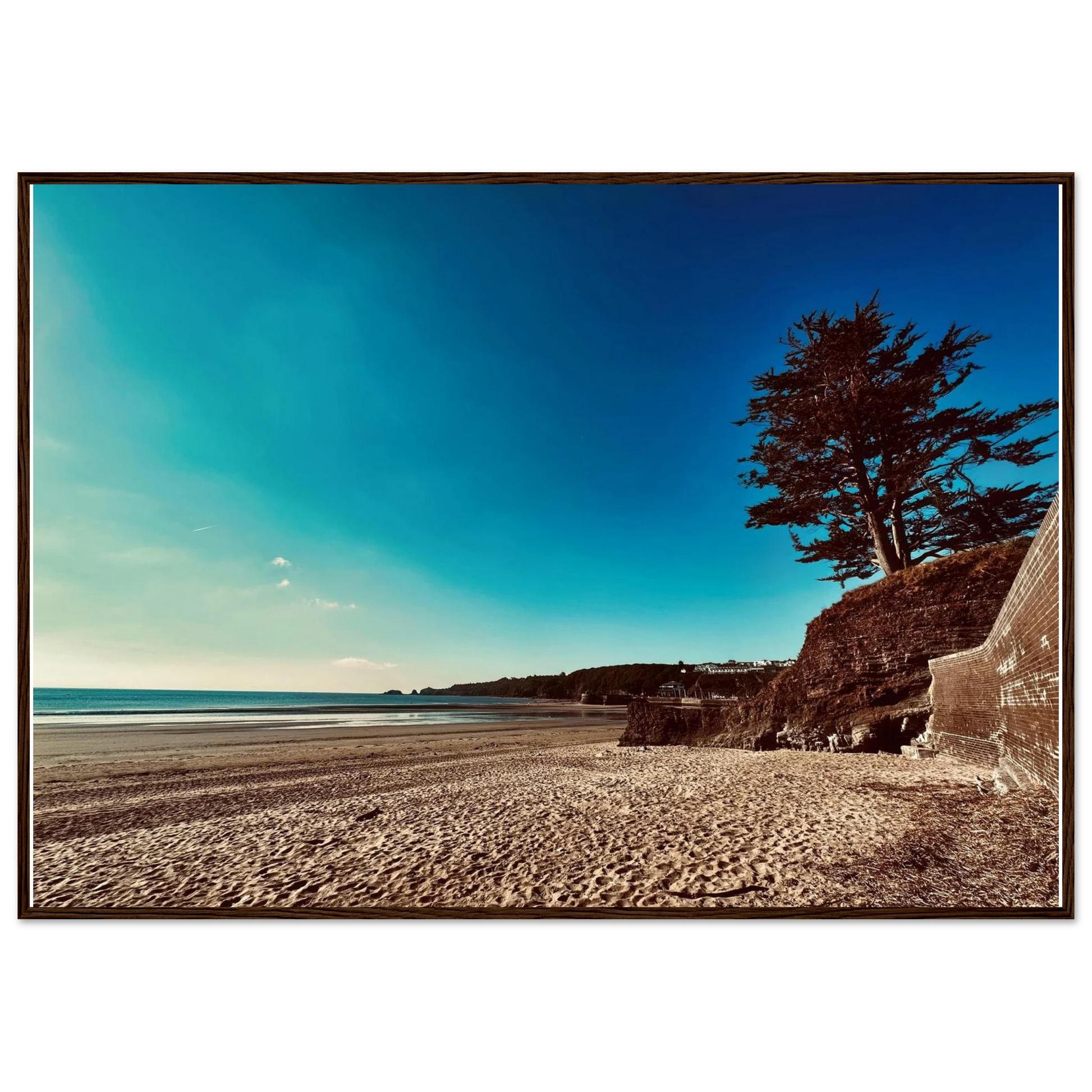 00779cea-5ab8-4ad7-a6e2-ae781ecbb556