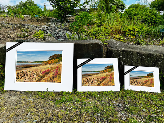 Amroth Retro
