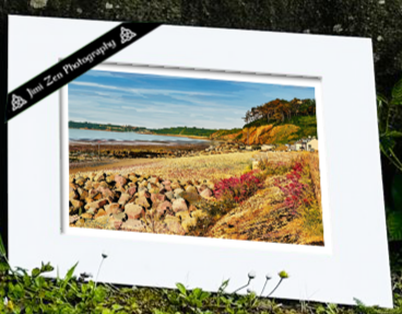 Amroth Retro