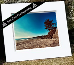 Lonely Tree Retro