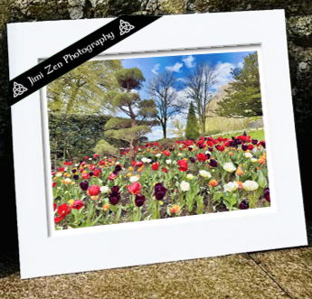 Spring Garden