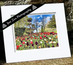 Spring Garden