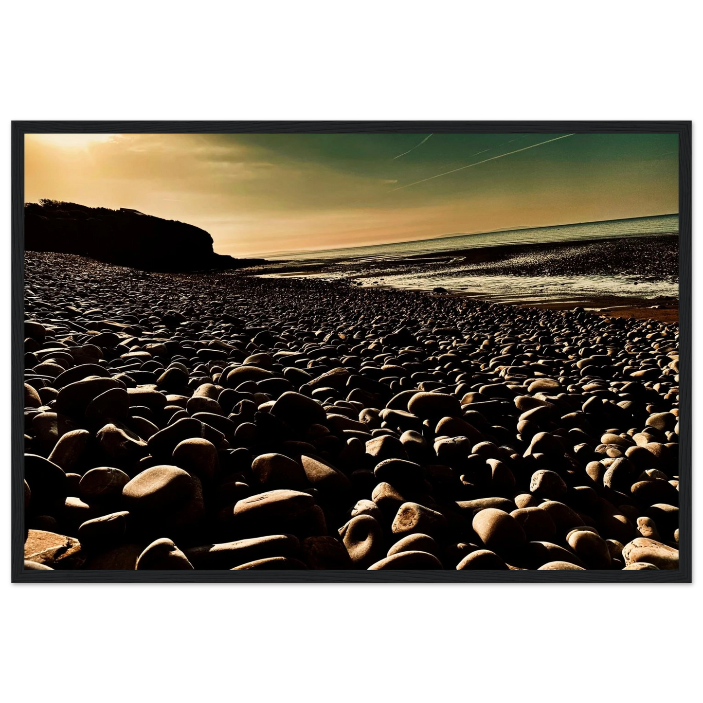 d2643f52-0686-4450-9646-db73781f6748